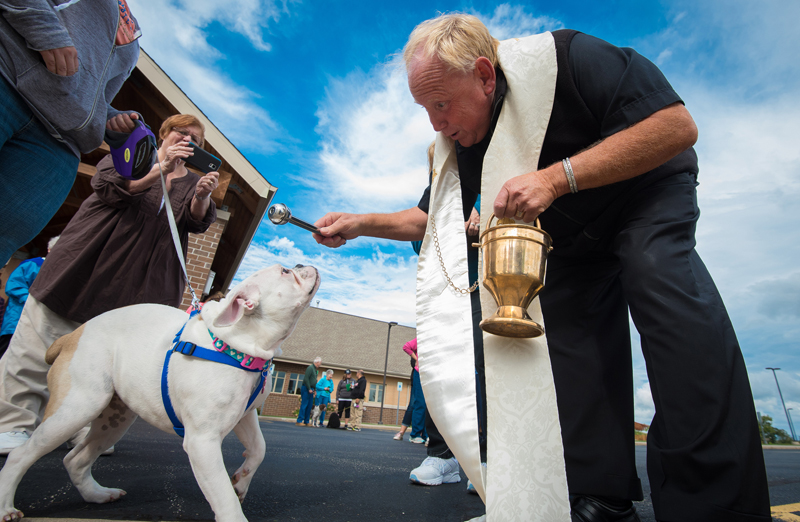 Pet blessing (CNS photo)
