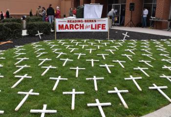 Crosses symbolizing lives lost through abortion cover the lawn at BCHS.