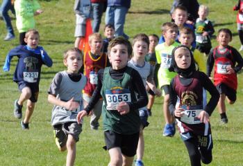 Runners in kindergarten, first and second grade run the course at the meet. 