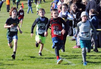 Runners from St. Jane; St. Ann, Emmaus; St. Thomas More; and St. Michael compete during the fifth- and sixth-grade boys’ race.