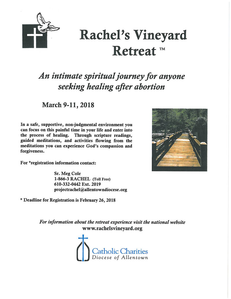 Rachel's Vineyard Retreat information